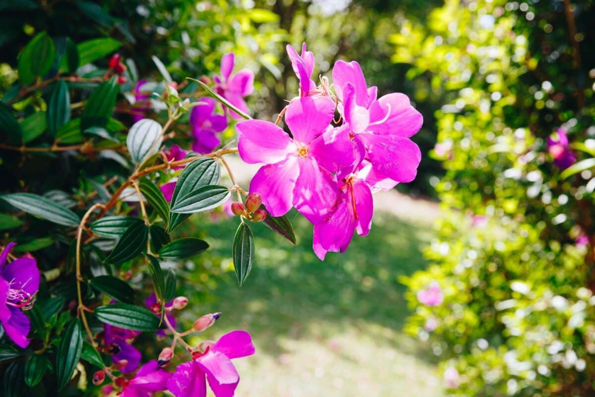Flaxton Garden Home With Spectacular Coastal Views Montville Ngoại thất bức ảnh